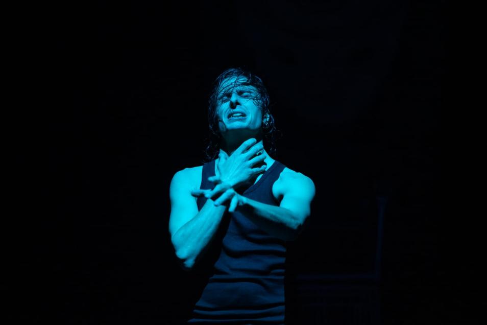 Paolo Toti Amleto in Pest(e) a Buda